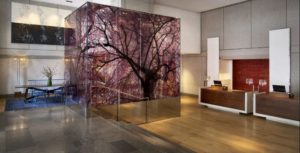 park hyatt